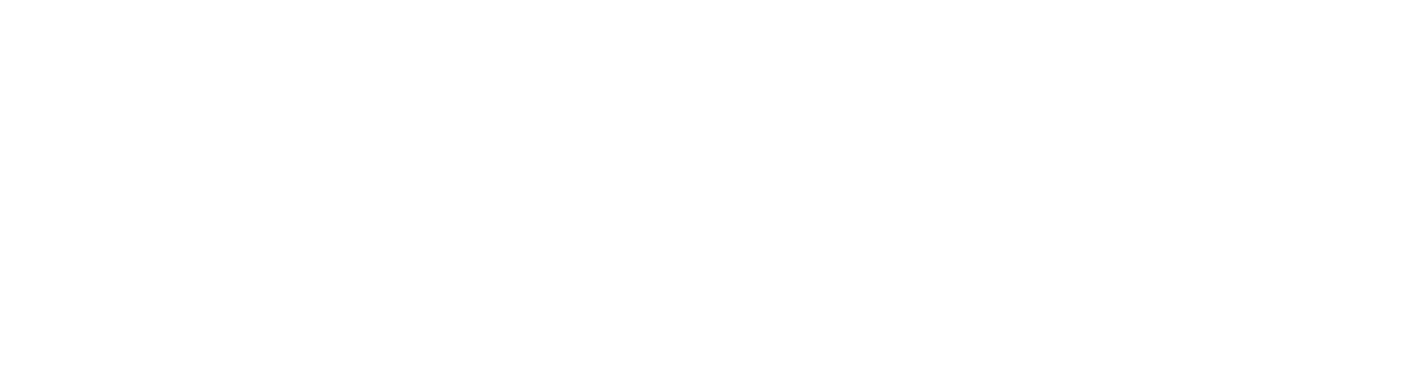 Valentine Planning_Logo_Horizontal_White